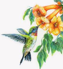 Colour Bird On Tree Drawing Diane Wright Art Journal Colored Pencil Birds Bird Drawings Bird Painting Acrylic Colored Pencil Artwork