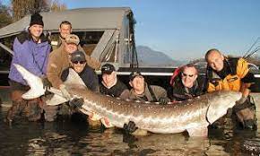Fishing Is Also One Of Canada S Most Important Natural Resources And It Has Almost Any Thing From Salmon To Lobst Fishing In Canada Catching Fish Fishing Guide