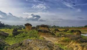 Gresik merupakan kabupaten di jawa timur yang dikenal sebagai kota santri dan berbatasan dengan surabaya, selat madura, lamongan, sidoarjo serta mojokerto. Tempat Wisata Di Gresik Paling Populer Dan Instagramable Sanjaya Tour