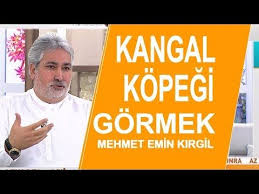 Ruyada Trabzon Da Hamsi Yedikten Sonra Uctugunu Gormek Ne Anlama Geliyor Mehmet Emin Kirgil Videolu Burc Yorumlari Burclar Kangal Kopegi Yorum