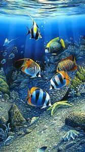 Disney phone wallpaper wallpaper iphone disney cellphone wallpaper goldfish wallpaper nature wallpaper mobile wallpaper yin yang koi new year art koi fish pond. Fish Wallpaper Free Download For Mobile 540x960 Wallpaper Teahub Io