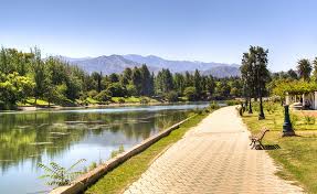 Subtropical plants dominate the gran chaco in the north, with the dalbergia genus of trees well represented by brazilian rosewood and the quebracho tree; 10 Top Rated Tourist Attractions In Argentina Planetware