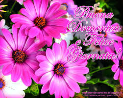 Cdb Cartoline Compleanno Per Tutti I Gusti Cartolina Buona Domenica E Felice Giornata Con Im Auguri Di Buon Compleanno Biglietto D Auguri Buon Compleanno