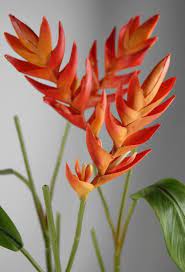 Natural Touch Heliconia Tropical Flower Save On Crafts