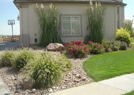 Marigolds attract many pollinators, and their scent can deter some harmful pests, such as flea beetles. Xeriscaping Planting Plants Design Denver Boulder Colorado