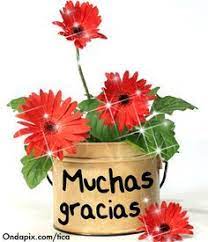 11 Muchas Gracias ideas | thankful, happy wishes, greetings