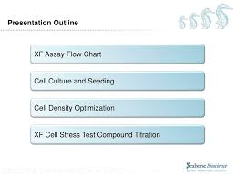 Ppt Assay Optimization In Xf E 24 And Xf E 96 Analyzers