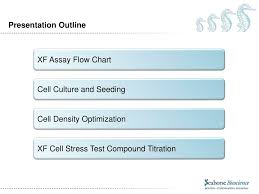 ppt assay optimization in xf e 24 and xf e 96 analyzers