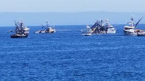 John Sercia (@GioSercia)