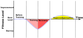 Supercompensation Wikipedia