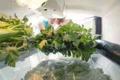 Die zeit für die auswahl von sellerie ist in der regel, nachdem es für drei vor fünf monaten gepflanzt wurde und sollte passieren, bevor die. Sellerie Ernten Erntetipps Fur Stauden Knollensellerie