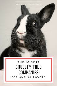 The 10 Best Cruelty Free Companies For Animal Lovers Animals Animal Lover Animal Advocacy