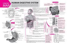Pin On Biology Notes Neet