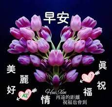 Does it matter how many flowers are in the bouquet? 900 Good Morning Wishes In Chinese Ideas Good Morning Wishes Morning Wish Good Morning