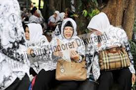 Keluhan itu disampaikan, karena sejak november 2020 hingga maret 2021, gaji honorer guru belum juga dibayar oleh dinas pendidikan dan kebudayaan (dikbud) pemerintah provinsi (pemprov) malut. Gaji Guru Honorer Dikurangi