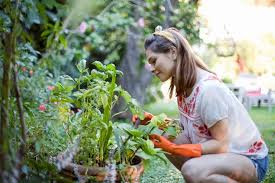 This is a place of business, a place where things get done. 5 Best Gardening Programmes Garden Tv Shows Trimetals