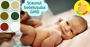 Este sange atat pe hartia igienica, cat si in wc, pe materiile fecale. Cereale Incompatibil Explica Fire De Sange In Scaun La Bebelusi Macrodesign Ro