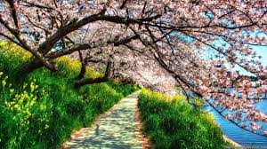 Spring Nature Wallpapers Top Free Spring Nature Backgrounds Wallpaperaccess