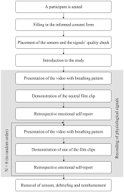 the procedure of the experiment is illustrated with a