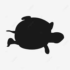 Liudrawing for all instagram posts publicinsta. Gambar Bayangan Kura Kura Kura Kura Darat Bayangan Hitam Png Dan Vektor Dengan Latar Belakang Transparan Untuk Unduh Gratis