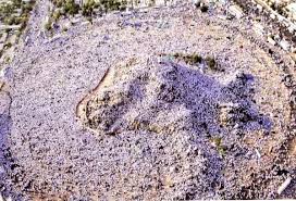 Wukuf di padang arafah adalah bentuk miniatur dari padang mahsyar di mana manusia akan dibangkitkan kembali di hari kebangkitan guna berikut adalah gambaran hikmatnya prosesi wukuf yang berlangsung di padang arafah. Lebih 2 5 Juta Jamaah Berhaji Siap Wukuf Di Arafah Hidayatullah Com