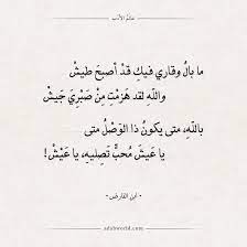 أبيات شعر عتاب عالم الأدب