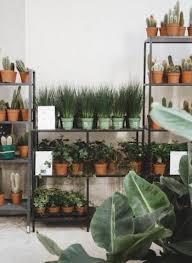 Restaurant Boucherie Trolliet