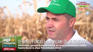 Imparti numarul de boabe total la cate randuri ai si pe urma numarul de boabe pe rand la lungimea lui si afli la ce distanta bagi bobu. SeminÈ›e Fundulea Porumb De 11 Tone La Hectar Youtube