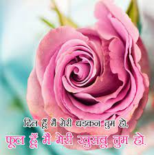Best love quotes that will make you fall in love. Flowers Dp Images For Whatsapp Status In Hindi English With Quotes Msg