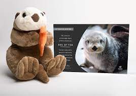 Those wishing to adopt an animal can choose from a cheetah, a giraffe, a jaguar, an african wild dog, a zebra. Adopt An Animal Ways To Give Aquarium Of The Pacific