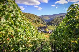 Compare prices & save money with tripadvisor (the world's largest travel website). Sehenswurdigkeiten In Altenahr