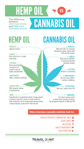 Hemp Cbd Oil Vs Cannabis Marijuana Cbd Oil Everything