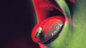 *ratings are from amazon at the time of publication and can change. The Truth About Smart Drugs Bbc Future
