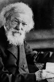 Plant Health 2021 Online Preview: A Conversation with Plenary Speaker  Professor Liying Sun New APS Council Members Elected