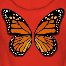 Butterfly Wings Womens Premium Hoodie Souvenirs And Gifts By Kim Hunter In 2021 Butterfly Wings Butterfly Wings Costume Monarch Butterflies Art