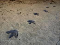 Enciso es un pequeño y anónimo pueblo de La Rioja. Uno donde hay 1.400  huellas de dinosaurios