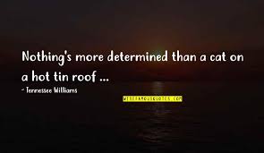 ― tennessee williams, quote from cat on a hot tin roof oh, you weak, beautiful people who give up with such grace. Cat On A Hot Tin Roof Quotes Top 13 Famous Quotes About Cat On A Hot Tin Roof