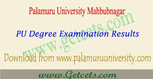 Palamuru University Degree 3rd Sem Results 2018 Exam Time Exam Examination Results