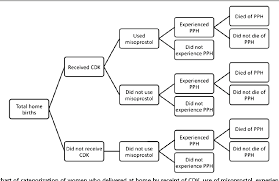 Figure 1 From Modeling Maternal Mortality In Bangladesh The