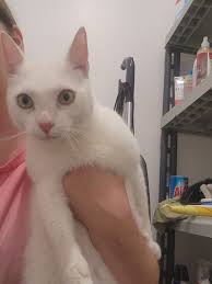 Oh how I miss you my Lucy Lo. 😪💔