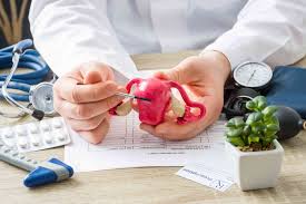 (they'll transform into the 20 baby teeth that eventually fall out during childhood.) next week, the teeth start to harden and connect to the jaw. Uterus Anatomy Function And Conditions