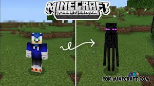 We'll help you get through your first night in minecraft, and then take it to the next level with servers and mods. Mods For Minecraft Pocket Edition