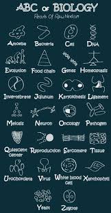 Abc Of Biology Science Biology Biology Lessons Biology