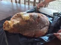 Skryte tajomstvo hmyzu hovno veda technologia 2021 : Video Barman Nasiel Na Plazi Skaredu Obrovsku Hrudu Hotovy Poklad Moze Zbohatnut O Pol Miliona Topky Sk