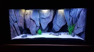 A Custom Made Aquarium With A Lot Of Hiding Spots Aquadecoraustralia Aquariums Customaquariums Aquariumsdaily Fisht Aquarium Custom Aquarium Hiding Spots