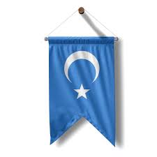 Türkiye bayrağı'na şekil olarak çok benzeyen, ama kırmızı yerine mavi arka plana sahip türk bayrağıdır. Dogu Turkistan Kirlangic Bayrak