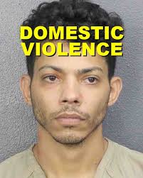 👤 Name: KENDALL, CASEY 🚨 Arrested: 05/03/2025 🆔 Arrest Number: 582500260  🚔 Arrested by: HALLANDALE 💼 Charges: 1) ROBBERY BY SUDDEN SNATCHING WO  FIREARM OR WEAPON (Status: PENDING TRIAL) 2) TAMPERING W/WITNESS