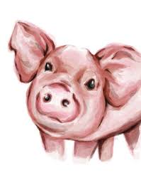 Pig Illustration Pig Drawing Pig Art Pig Illustration
