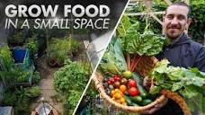 10 tips to grow your own food in a small space - YouTube