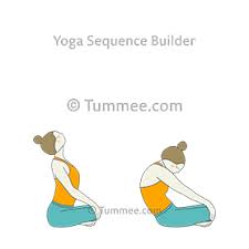 Seated Cat Cow Pose Yoga Upavistha Bitilasana Marjaryasana Yoga Sequences Benefits Variations And Sanskrit Pronunciation Tummee Com Cow Pose Yoga Cow Pose Yoga Sequences